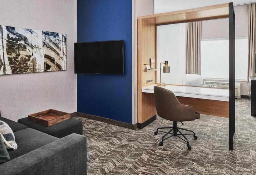スイート, Springhill Suites By Marriott Roanoke