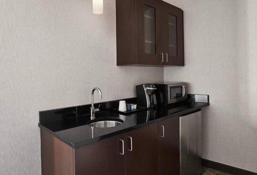 キングサイズベッドのスイートルーム, Springhill Suites By Marriott Roanoke