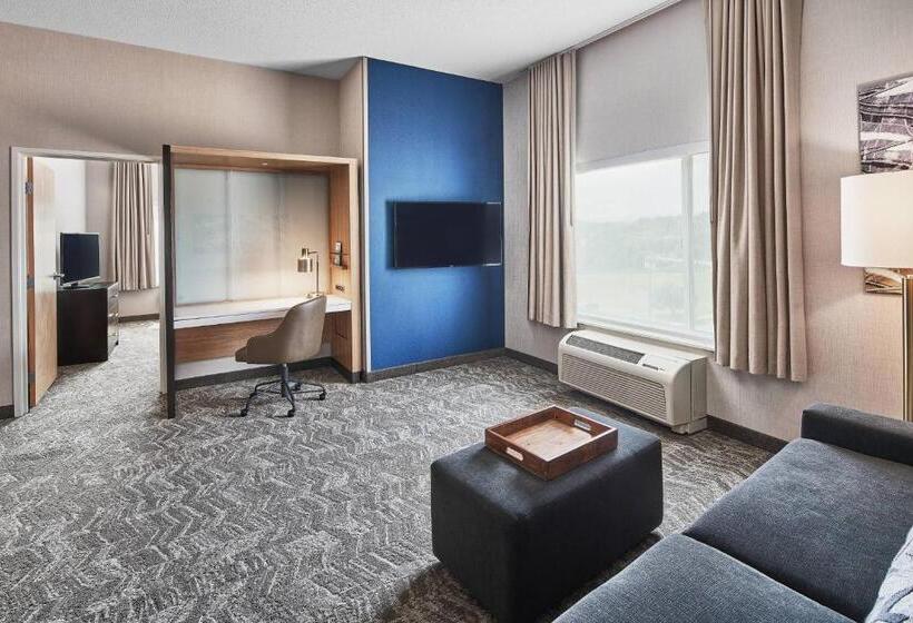 キングサイズベッドのスイートルーム, Springhill Suites By Marriott Roanoke