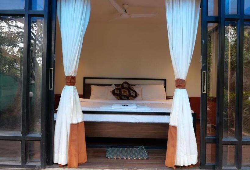 اتاق استاندارد, Coocasa