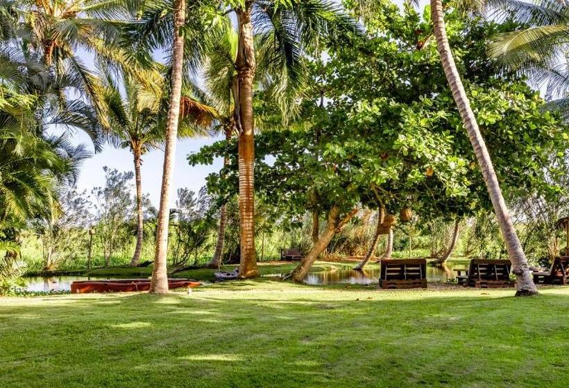 Трехместный Номер Стандарт Вид на Сад, Kibayo Lagoon Villa