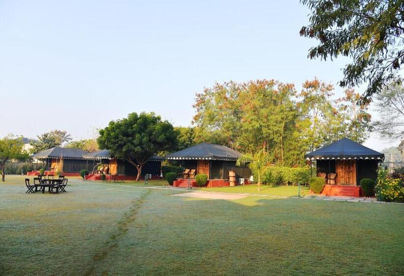 Standard Tent, The Shergarh