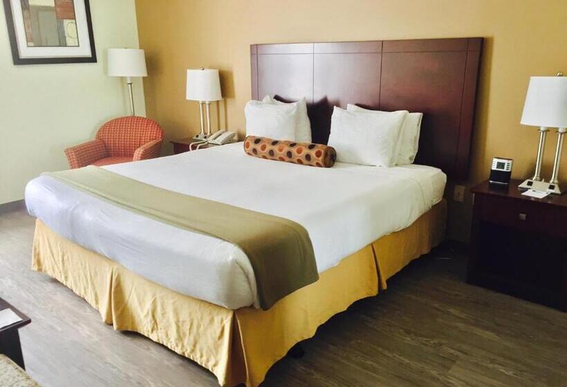 Номер Стандарт Кровать Кинг Адаптированный для Инвалидов, Best Western Butner Creedmoor Inn