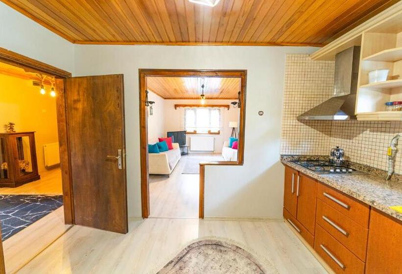 带2个卧室的别墅, Sapancaminihouse