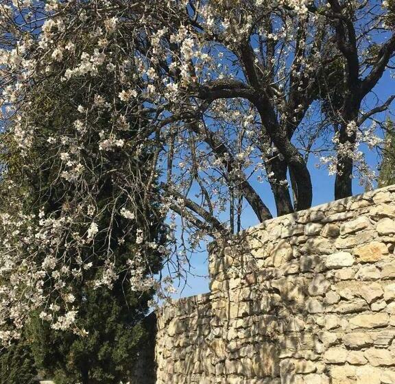 سوییت با چشم‌انداز کوه, Les Magnolias