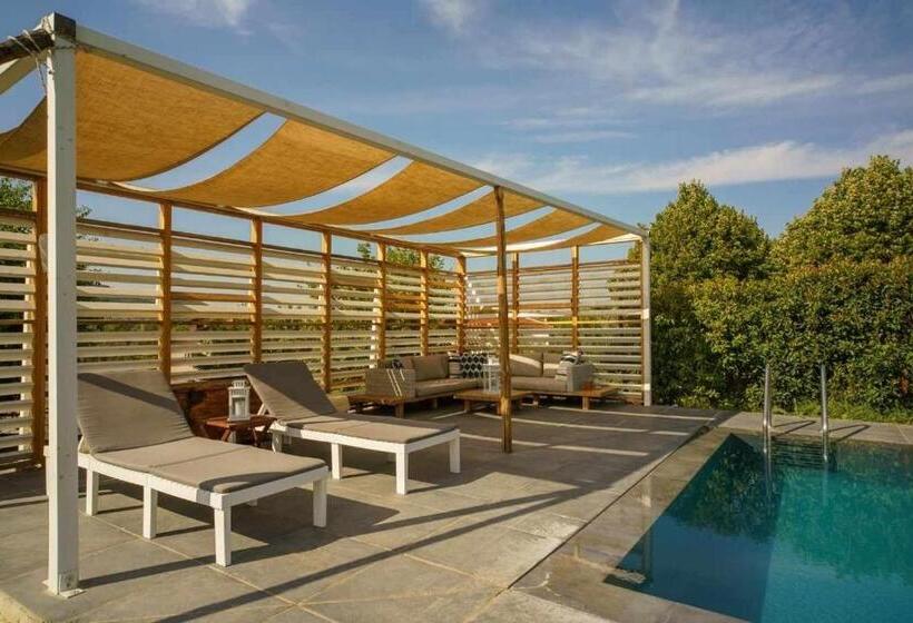 اتاق استاندارد با چشم‌انداز باغ, Alba Morus Bed E Breakfast Sentiti A Casa Nel Cuore Della Toscana