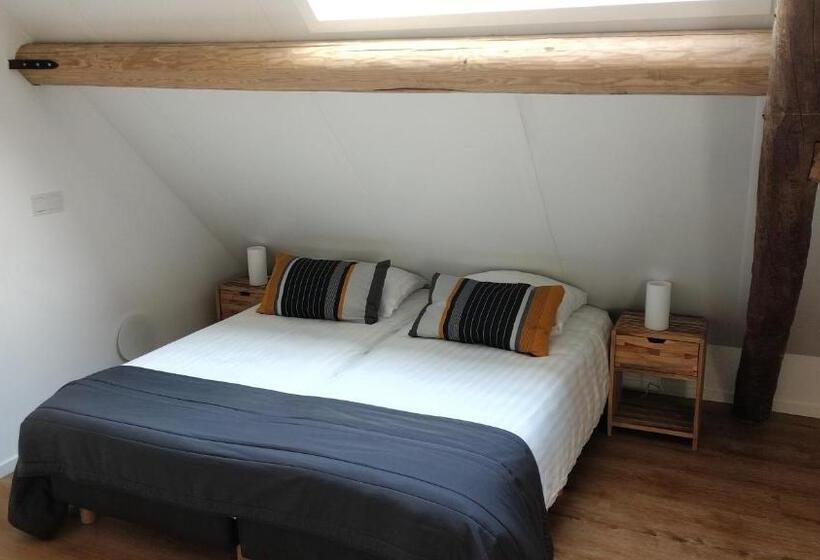 اتاق استاندارد, Studio@domburg