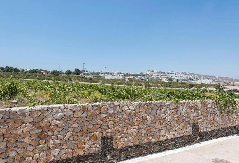 اتاق استاندارد سه نفره, Villa Agas