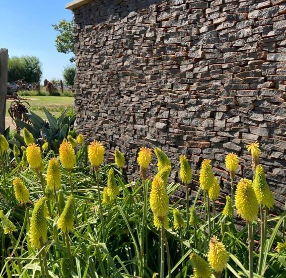 Номер Стандарт, The Vaal Guesthouse