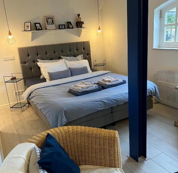 اتاق استاندارد با تخت بزرگ, B&b Mir Lo In Mierlo Adults Only