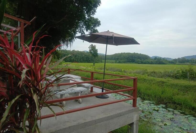 Номер Стандарт, The Green Vale B&b