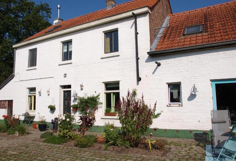 خانه 1 خوابه, Slaaphuisje Het Vliegend Varken
