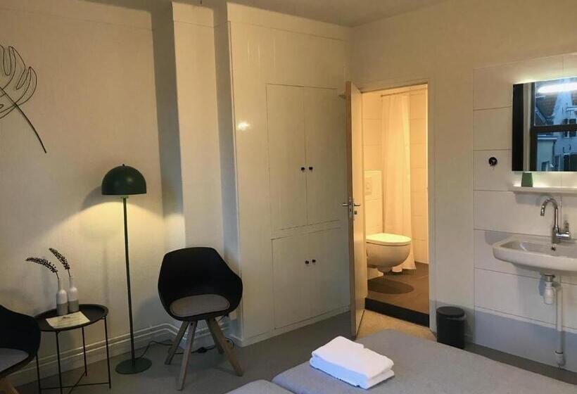 Номер Стандарт, Kleinschalig Hostel In Deventer, Hartje Stad, Aan De Ijssel