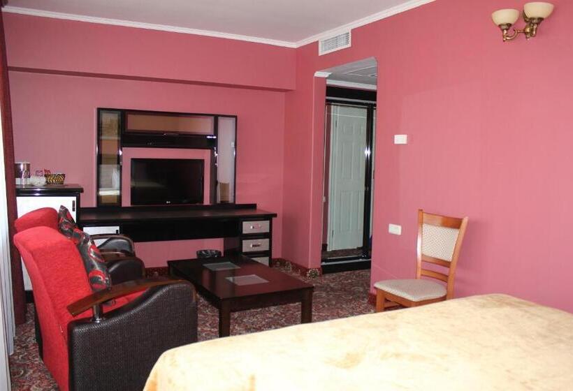 Standard Single Room, Erebuni Hotel Yerevan