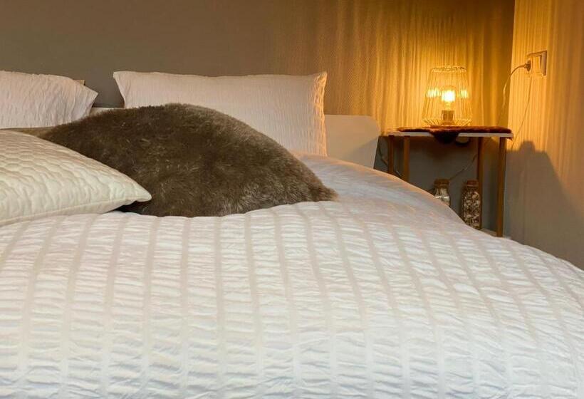 اتاق لوکس, B&b Zen