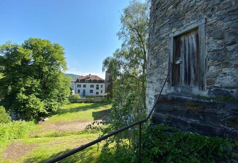Номер Стандарт Вид на Сад, Haus Am Schlossberg