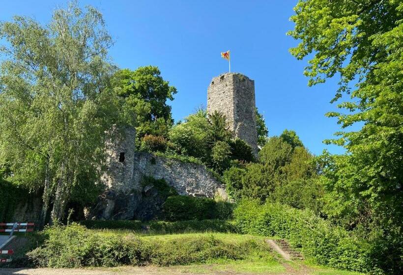 Одноместный Номер Вид на Сад, Haus Am Schlossberg