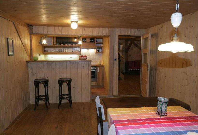 آپارتمان دوبلکس 1 خوابه, Apartmány Chalupa U Floriánka