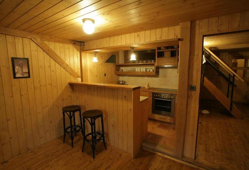 آپارتمان دوبلکس 1 خوابه, Apartmány Chalupa U Floriánka
