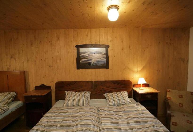 آپارتمان دوبلکس 1 خوابه, Apartmány Chalupa U Floriánka