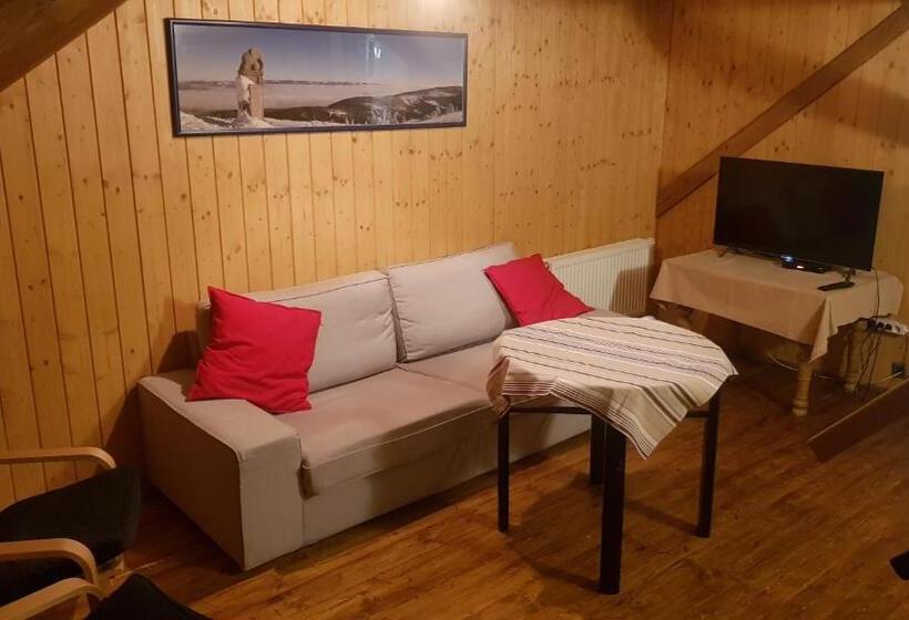 آپارتمان دوبلکس 1 خوابه, Apartmány Chalupa U Floriánka