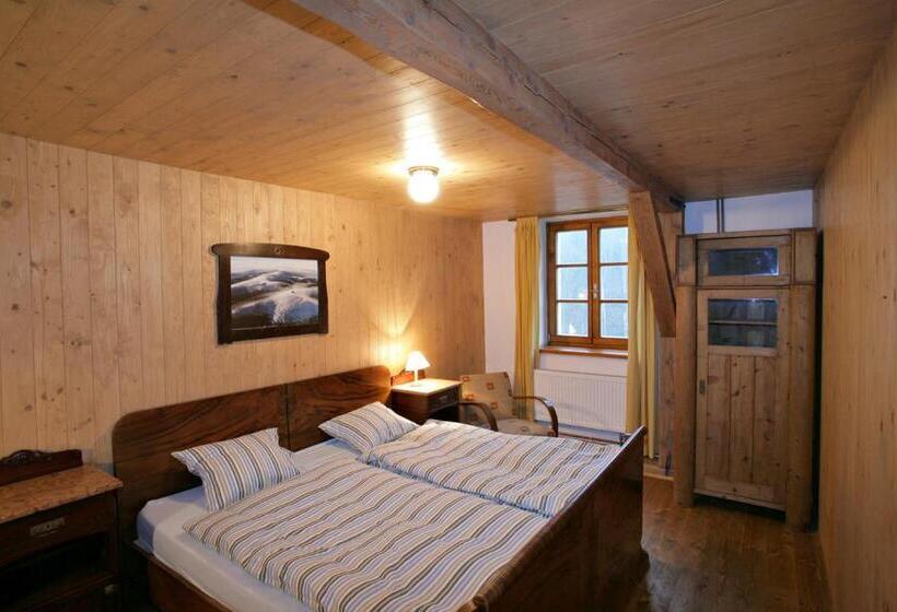 آپارتمان دوبلکس 1 خوابه, Apartmány Chalupa U Floriánka