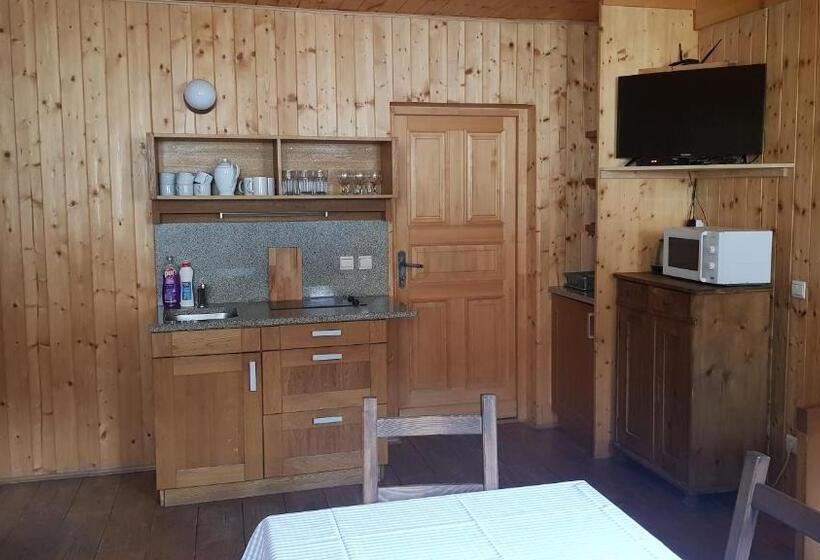 آپارتمان 1 خوابه, Apartmány Chalupa U Floriánka