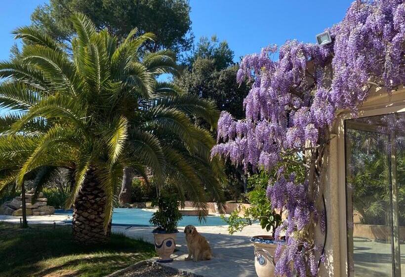 Номер Стандарт Трехместный, Santolines En Provence