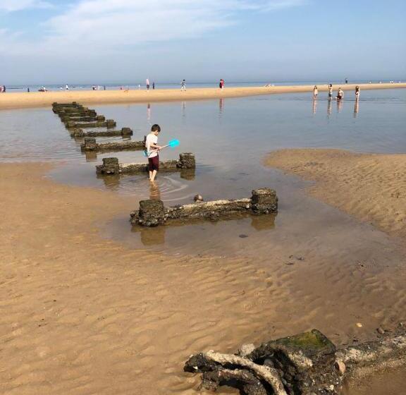 Апартаменты 1 Спальня Нижний Этаж, Redcar Seaview Apartments