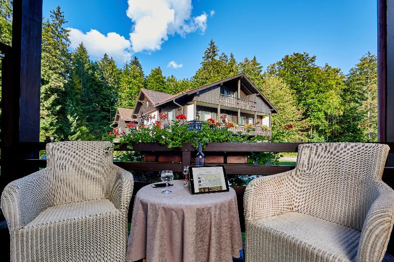 Номер Комфорт Индивидуальный, Am Badersee