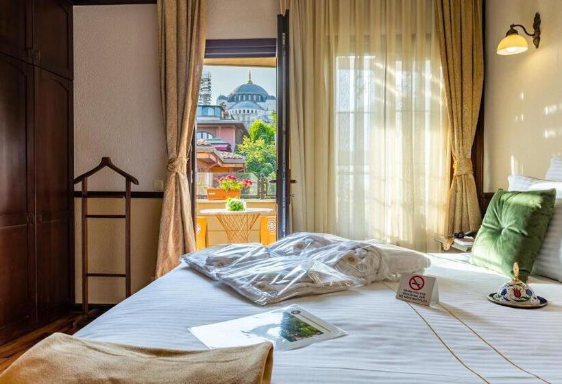 Superior Room with Terrace, Best Point