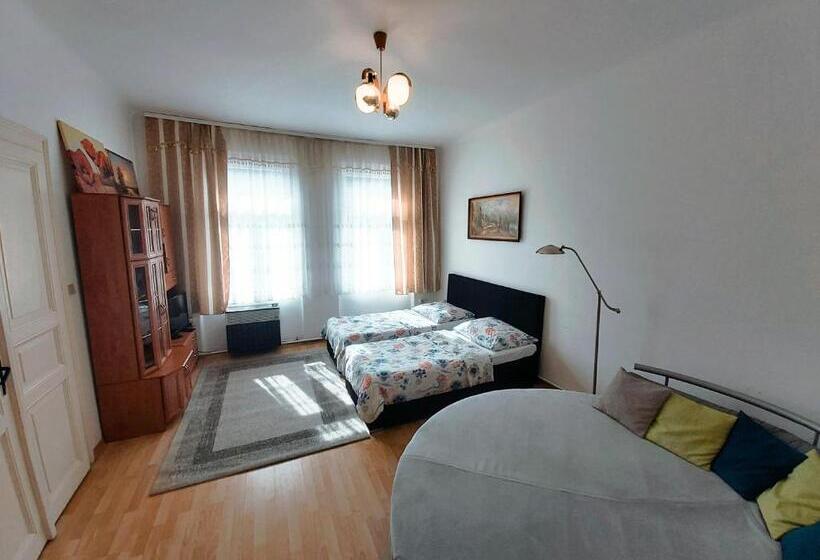 Апартаменты 1 Спальня, Apartments  Vintag  Teplice