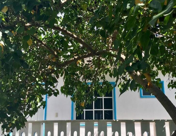 استودیوی استاندارد, Estudios Rehilete