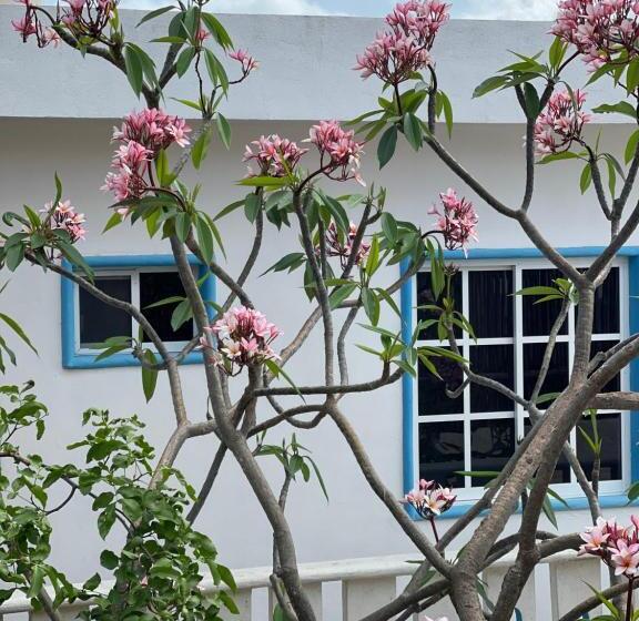 استودیوی استاندارد, Estudios Rehilete
