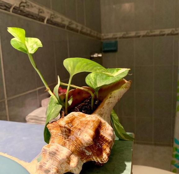 آپارتمان 1 خوابه همکف, Estudios Rehilete