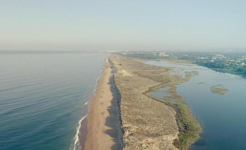 اتاق سوپریور, Pine House   Faro Airport, Beach And City Center