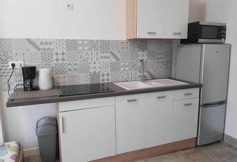 Апартаменты 1 Спальня, Appart Hotel Sathonay Rillieux Lyon