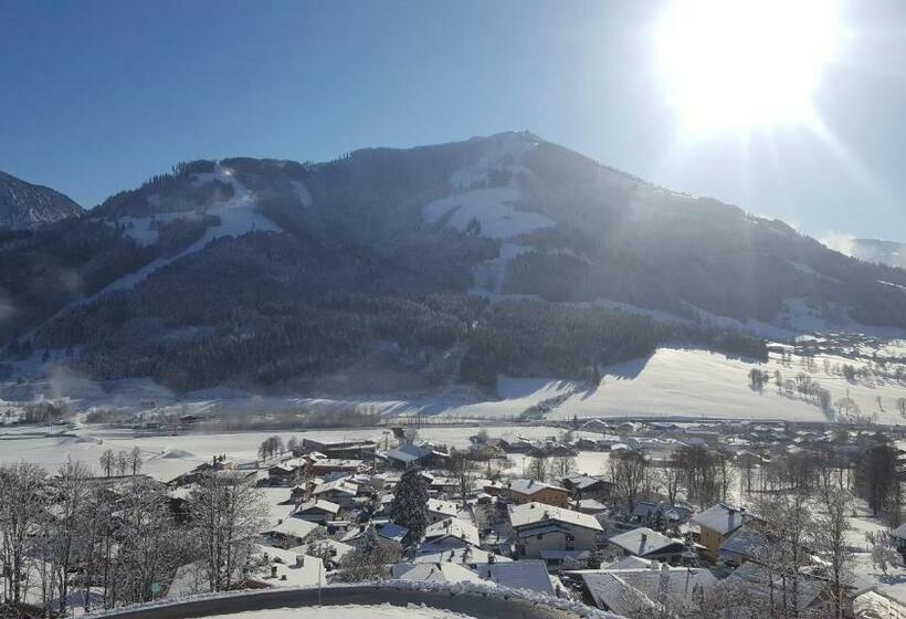 آپارتمان 1 خوابه با بالکن, Haus Panorama