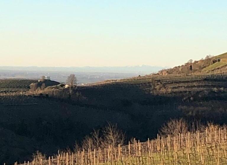 디럭스 룸, Agriturismo La Preara