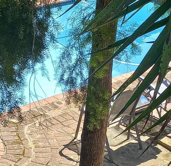 سوییت, Kruger S Guest House
