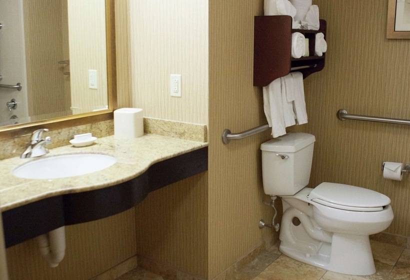 Студио Стандарт Кровать Кинг, Hampton Inn Rochesterwebster