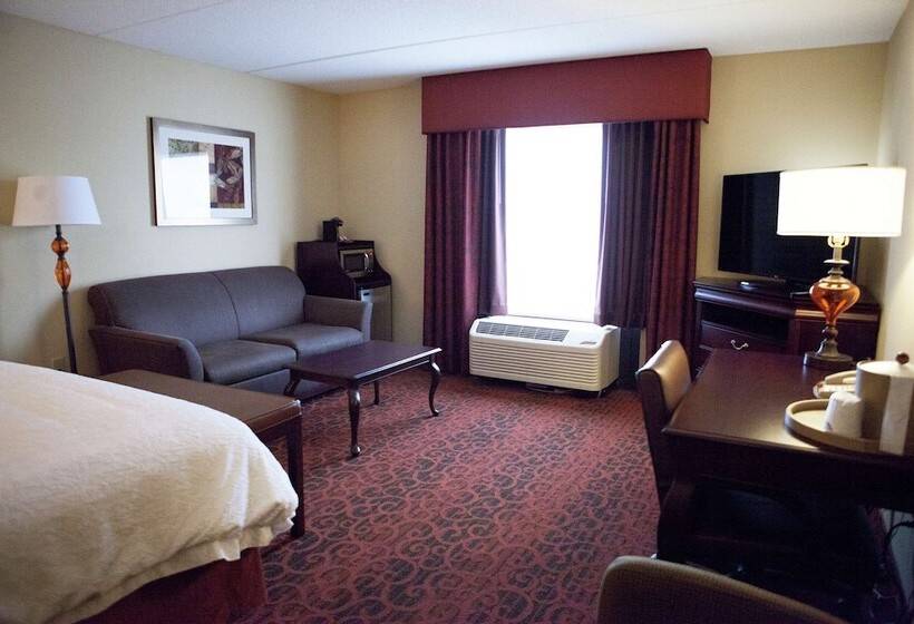 Студио Стандарт Кровать Кинг, Hampton Inn Rochesterwebster