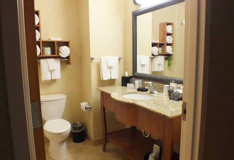 Номер Стандарт, Hampton Inn & Suites Buffalo