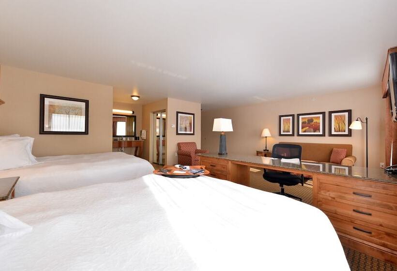 Студия Стандарт, Hampton Inn & Suites Buffalo