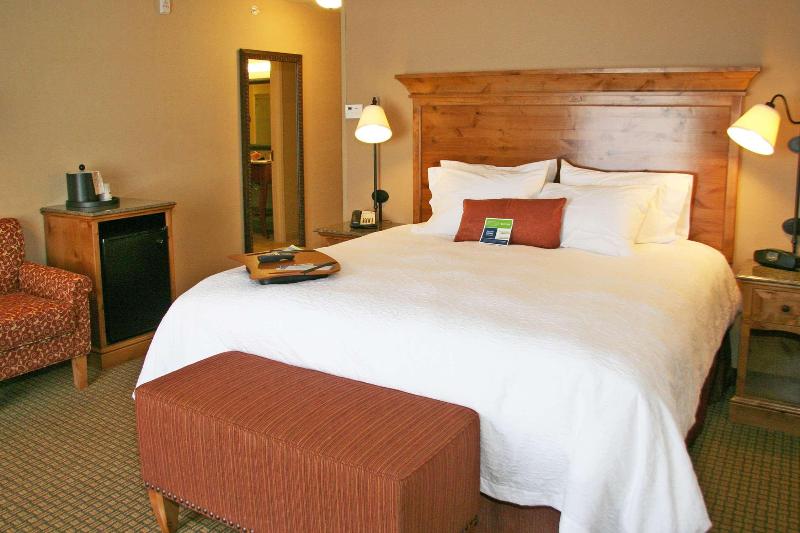 Стандартный Номер Кровать Кинг, Hampton Inn & Suites Buffalo