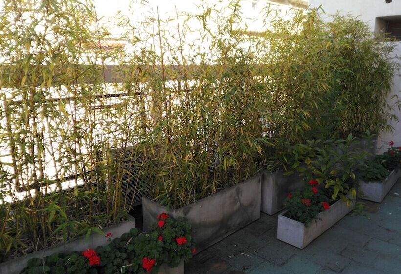 اتاق استاندارد سه نفره, A&b Internacional