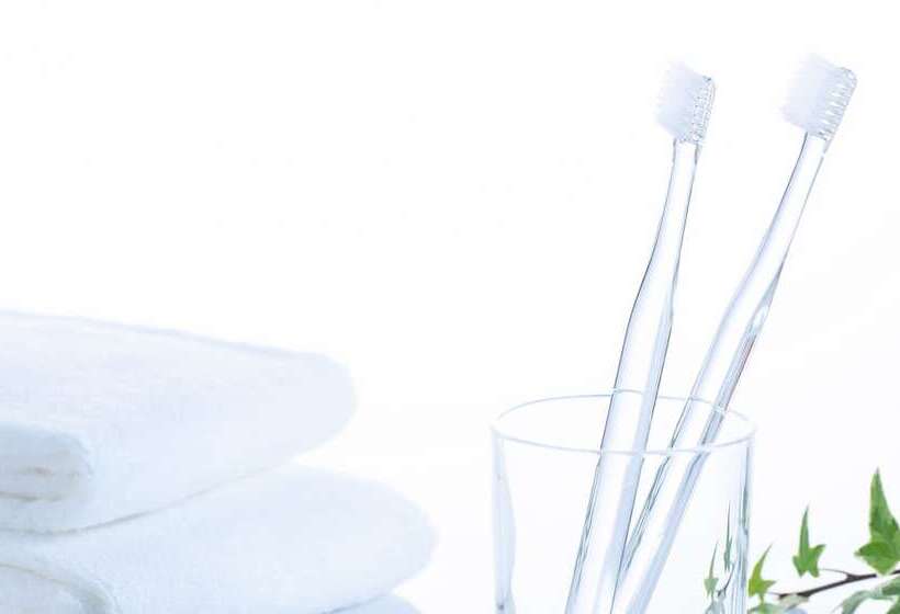 اتاق استاندارد, Comfort Hotel Hakodate