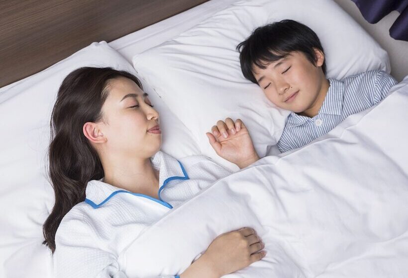 اتاق استاندارد, Comfort Hotel Hakodate