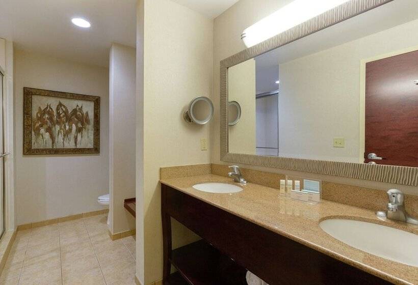 Номер Стандарт 2 Двуспальные Кровати, Hampton Inn & Suites Wellington