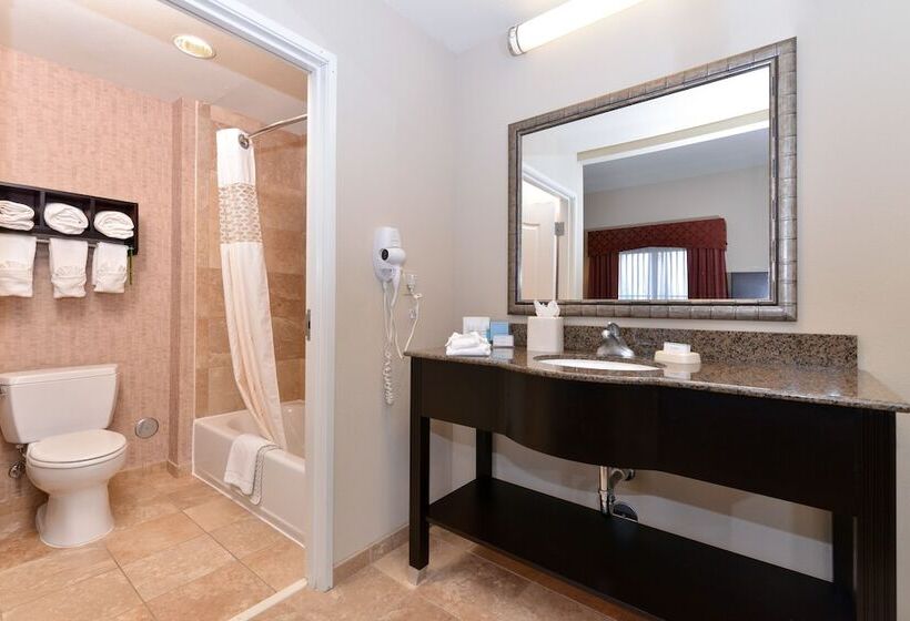 Люкс, Hampton Inn & Suites Phoenix/gilbert